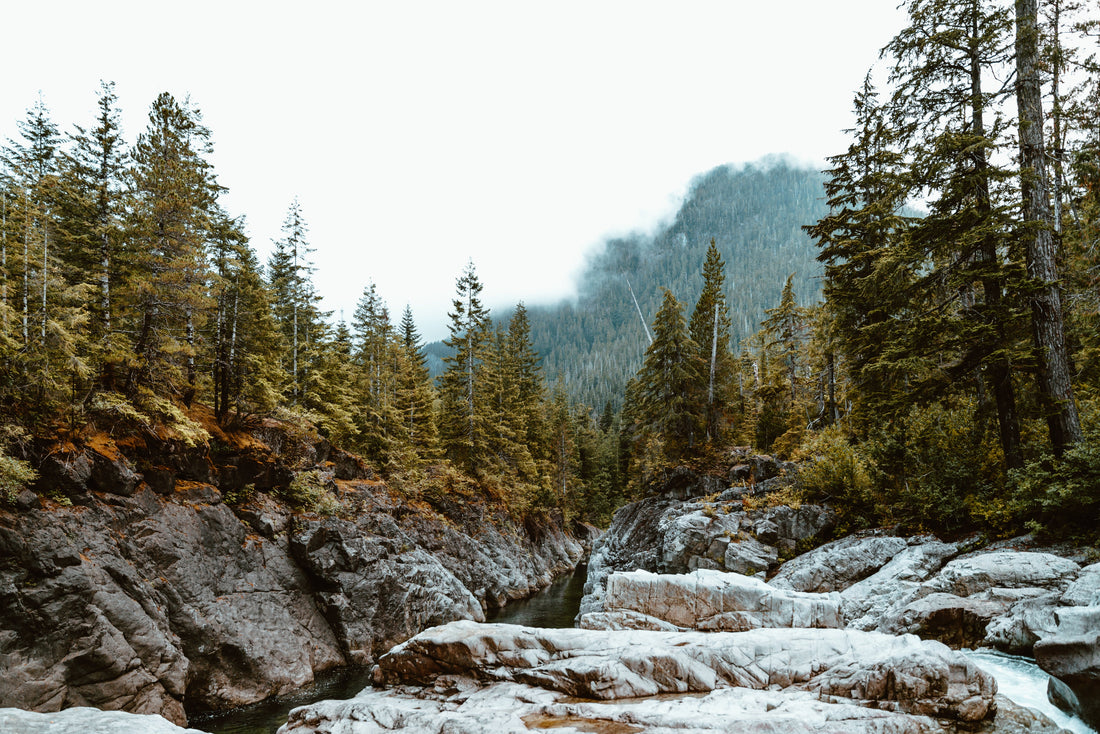 My Fall Fly Fishing Ritual By Douglas Erickson