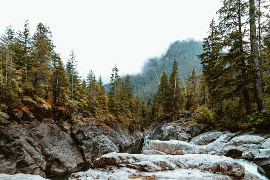 My Fall Fly Fishing Ritual By Douglas Erickson