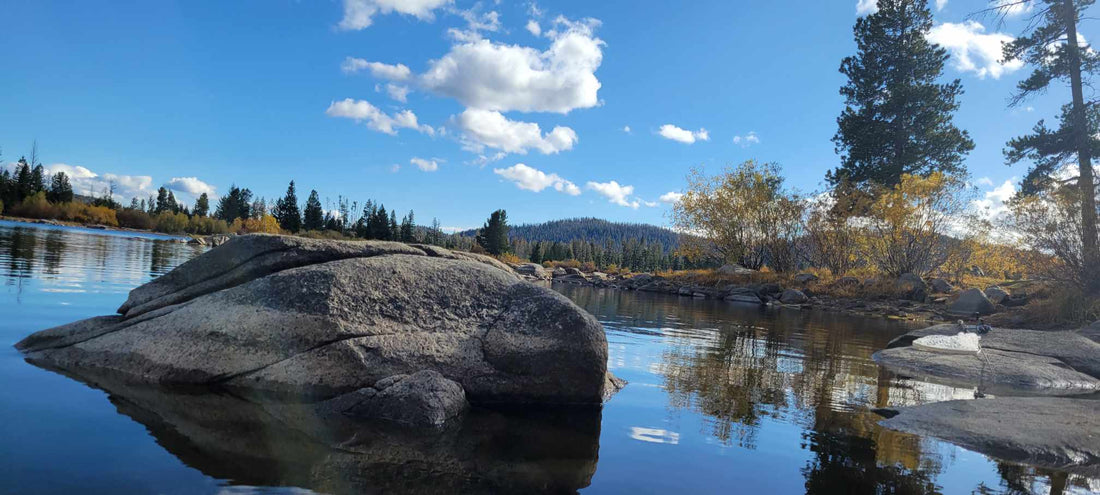 Inside the Mind of a Trout: How Biology and Behavior Shape Every Strike