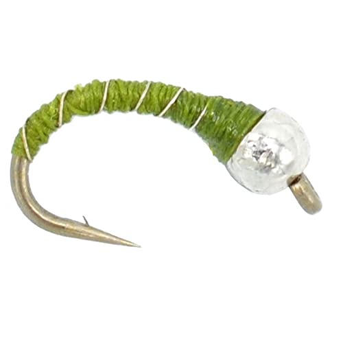 The Fly Fishing Place Bead Head Rainbow Warrior and Zebra Midge Assortment - 1 Dozen - 3 Each of 4 Patterns Sizes 14, 16, 18 - Tailwater Fly Fishing Flies Collection