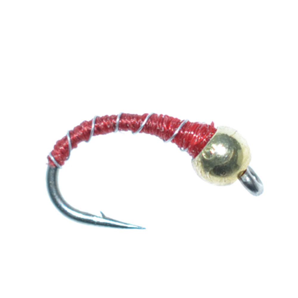 The Fly Fishing Place Bead Head Rainbow Warrior and Zebra Midge Assortment - 1 Dozen - 3 Each of 4 Patterns Sizes 14, 16, 18 - Tailwater Fly Fishing Flies Collection