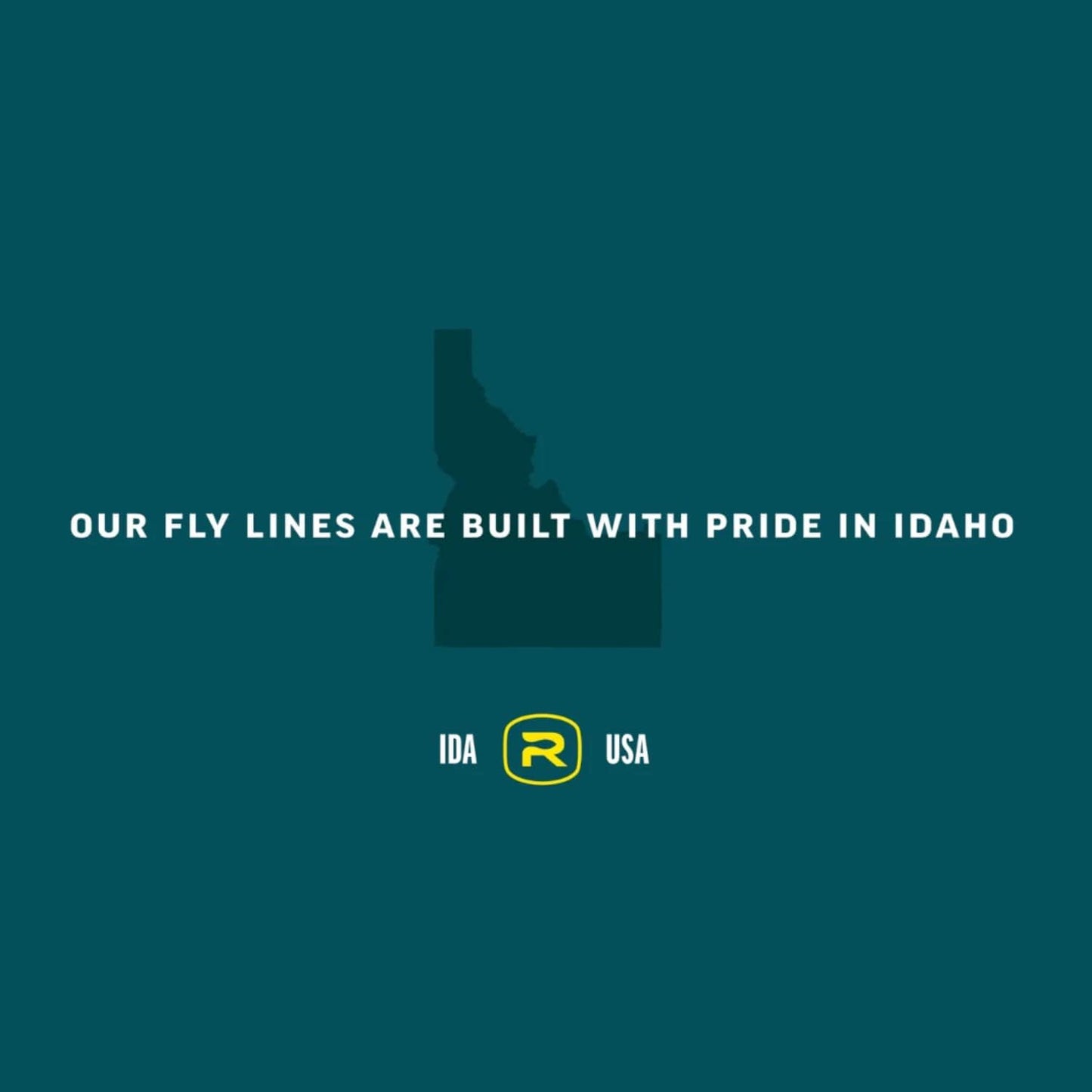 RIO Products Mainstream Trout DT Fly Line - Developed for The Average Fly Fishermen - Easy Casting and Smooth Design - Freshwater - 5 Weight
