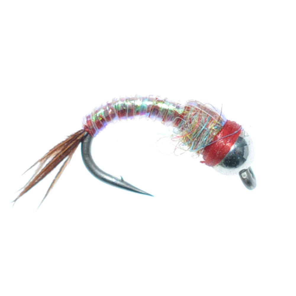 The Fly Fishing Place Bead Head Rainbow Warrior and Zebra Midge Assortment - 1 Dozen - 3 Each of 4 Patterns Sizes 14, 16, 18 - Tailwater Fly Fishing Flies Collection