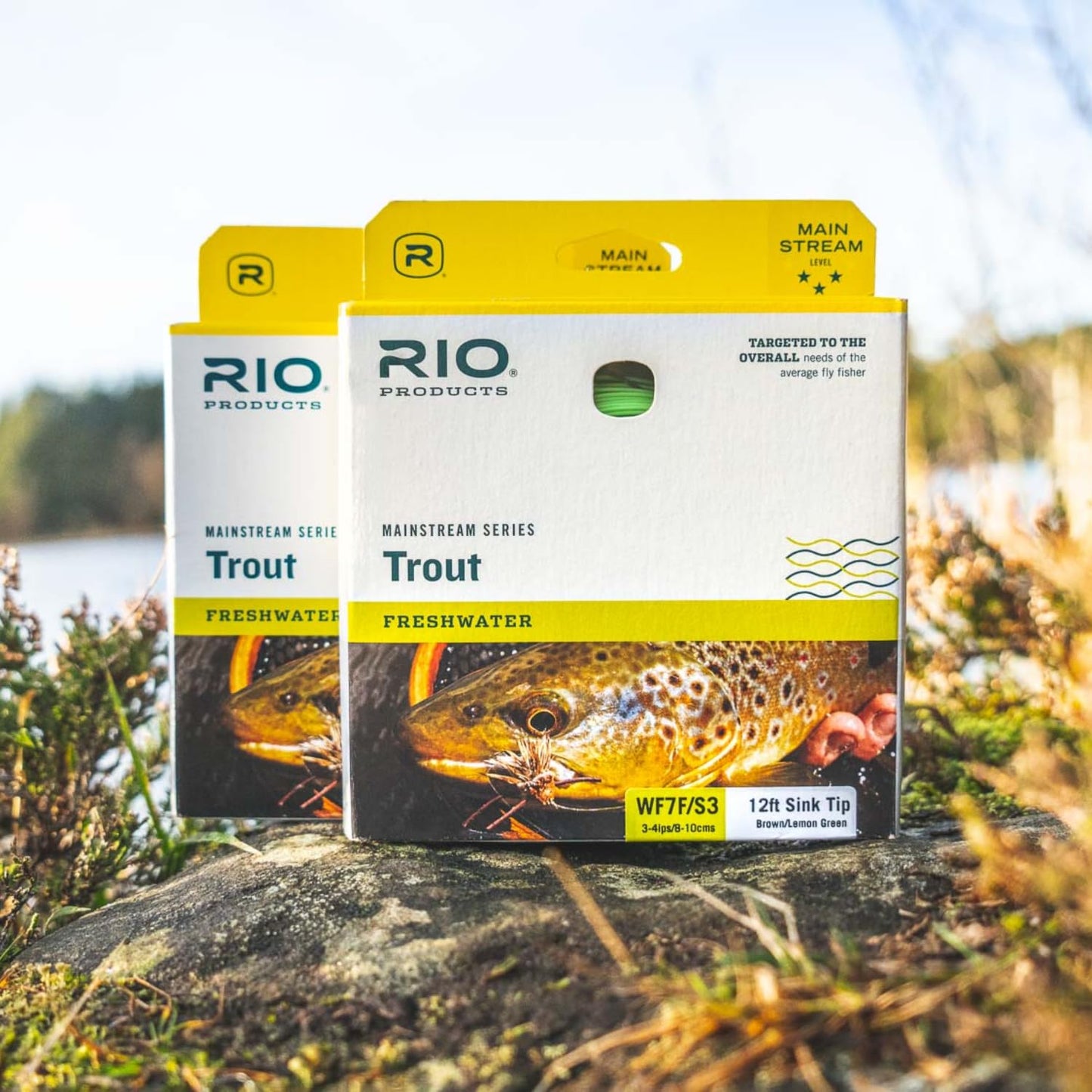 RIO Products Mainstream Trout DT Fly Line - Developed for The Average Fly Fishermen - Easy Casting and Smooth Design - Freshwater - 5 Weight